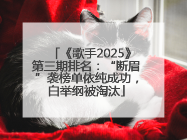 《歌手2025》第三期排名：“断眉”袭榜单依纯成功，白举纲被淘汰