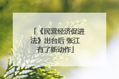 《民营经济促进法》出台后 张江有了新动作