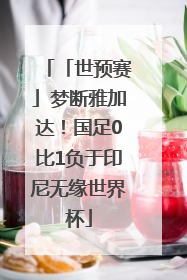 「世预赛」梦断雅加达！国足0比1负于印尼无缘世界杯