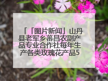 「图片新闻」山丹县老军乡蕃昌农副产品专业合作社每年生产各类玫瑰花产品500多吨