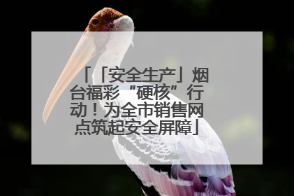 「安全生产」烟台福彩“硬核”行动！为全市销售网点筑起安全屏障
