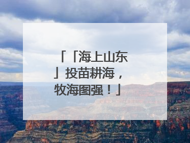 「海上山东」投苗耕海，牧海图强！