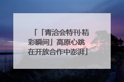 「青洽会特刊·精彩瞬间」高原心跳 在开放合作中澎湃