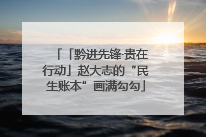 「黔进先锋·贵在行动」赵大志的“民生账本”画满勾勾