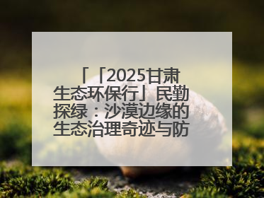 「2025甘肃生态环保行」民勤探绿：沙漠边缘的生态治理奇迹与防沙治沙密码