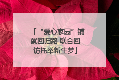 “爱心家园”铺就回归路 联合回访托举新生梦