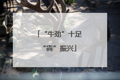 “牛劲”十足“犇”振兴