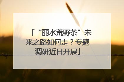“丽水荒野茶”未来之路如何走？专题调研近日开展