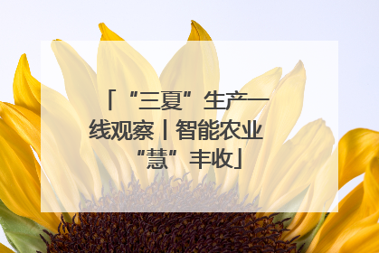 “三夏”生产一线观察丨智能农业“慧”丰收