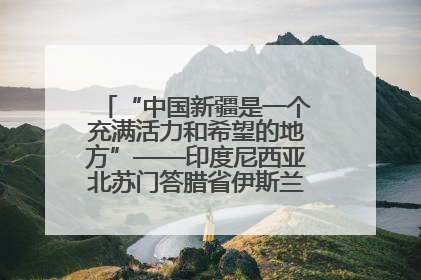 “中国新疆是一个充满活力和希望的地方”——印度尼西亚北苏门答腊省伊斯兰教代表团参访新疆