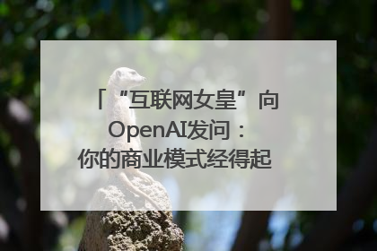 “互联网女皇”向OpenAI发问：你的商业模式经得起价格战考验么？