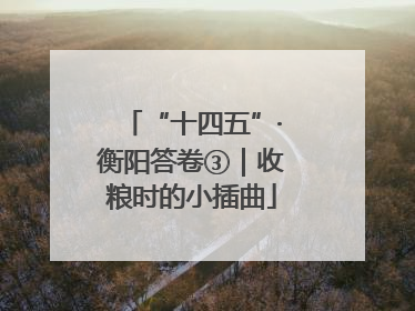“十四五”·衡阳答卷③｜收粮时的小插曲