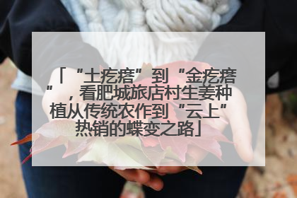 “土疙瘩”到“金疙瘩”，看肥城旅店村生姜种植从传统农作到“云上”热销的蝶变之路