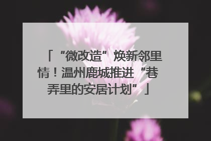 “微改造”焕新邻里情！温州鹿城推进“巷弄里的安居计划”