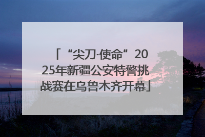 “尖刀·使命”2025年新疆公安特警挑战赛在乌鲁木齐开幕
