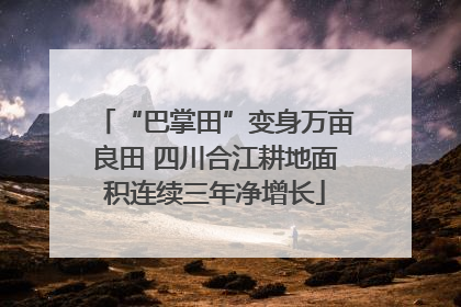 “巴掌田”变身万亩良田 四川合江耕地面积连续三年净增长