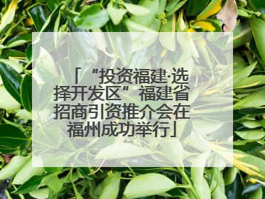 “投资福建·选择开发区”福建省招商引资推介会在福州成功举行