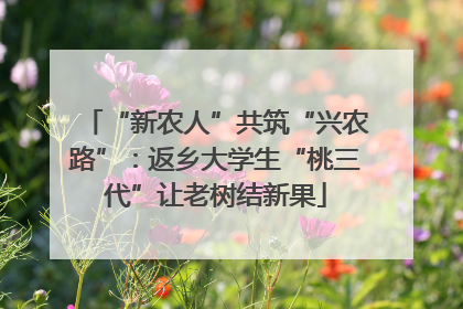 “新农人”共筑“兴农路”：返乡大学生“桃三代”让老树结新果
