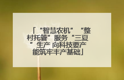 “智慧农机”“整村托管”服务“三夏”生产 向科技要产能筑牢丰产基础
