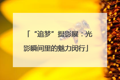 “追梦”摄影展：光影瞬间里的魅力闵行