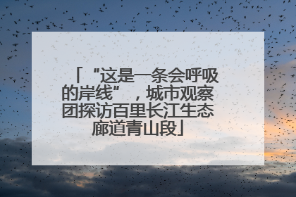 “这是一条会呼吸的岸线”，城市观察团探访百里长江生态廊道青山段