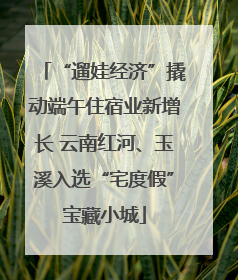 “遛娃经济”撬动端午住宿业新增长 云南红河、玉溪入选“宅度假”宝藏小城