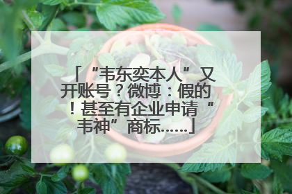 “韦东奕本人”又开账号？微博：假的！甚至有企业申请“韦神”商标……
