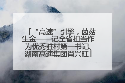 “高速”引擎，菌菇生金——记全省担当作为优秀驻村第一书记、湖南高速集团肖兴旺