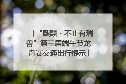 “麒麟・不止有瑞兽”第三届端午节龙舟赛交通出行提示