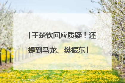 王楚钦回应质疑！还提到马龙、樊振东