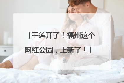 王莲开了！福州这个网红公园，上新了！
