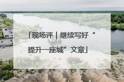 现场评｜继续写好“提升一座城”文章