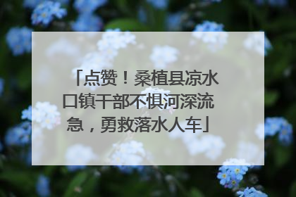 点赞！桑植县凉水口镇干部不惧河深流急，勇救落水人车