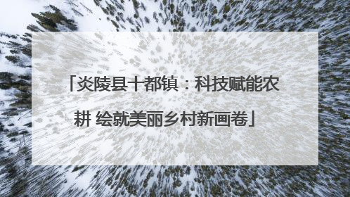 炎陵县十都镇：科技赋能农耕 绘就美丽乡村新画卷