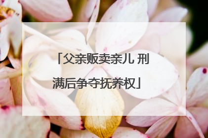 父亲贩卖亲儿 刑满后争夺抚养权