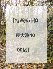 特斯拉市值一夜大涨4000亿