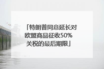 特朗普同意延长对欧盟商品征收50%关税的最后期限