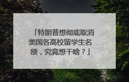 特朗普想彻底取消美国各高校留学生名额，究竟想干啥？