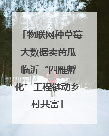 物联网种草莓 大数据卖黄瓜 临沂“四雁孵化”工程链动乡村共富