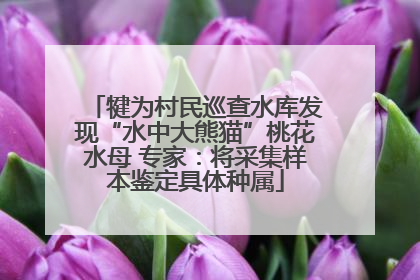 犍为村民巡查水库发现“水中大熊猫”桃花水母 专家：将采集样本鉴定具体种属