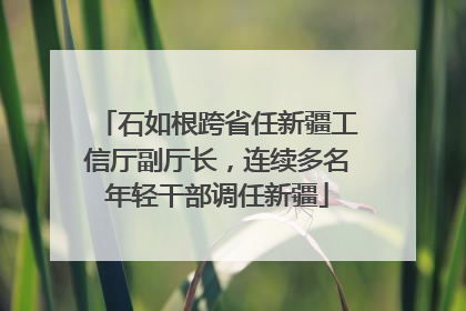 石如根跨省任新疆工信厅副厅长，连续多名年轻干部调任新疆