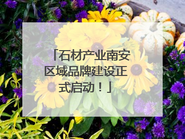 石材产业南安区域品牌建设正式启动！