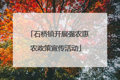 石桥镇开展强农惠农政策宣传活动