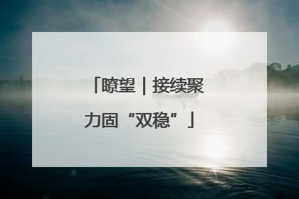 瞭望｜接续聚力固“双稳”
