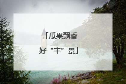 瓜果飘香 好“丰”景