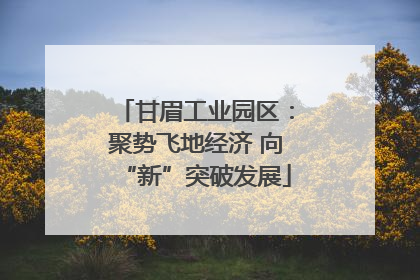 甘眉工业园区：聚势飞地经济 向“新”突破发展