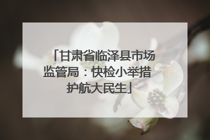 甘肃省临泽县市场监管局：快检小举措 护航大民生