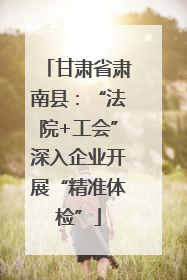 甘肃省肃南县：“法院+工会”深入企业开展“精准体检”
