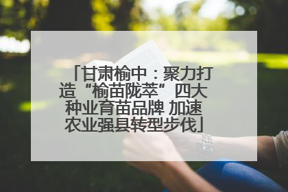 甘肃榆中：聚力打造“榆苗陇萃”四大种业育苗品牌 加速农业强县转型步伐