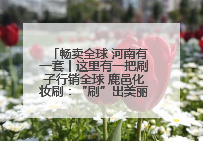 畅卖全球 河南有一套丨这里有一把刷子行销全球 鹿邑化妆刷：“刷”出美丽经济新世界
